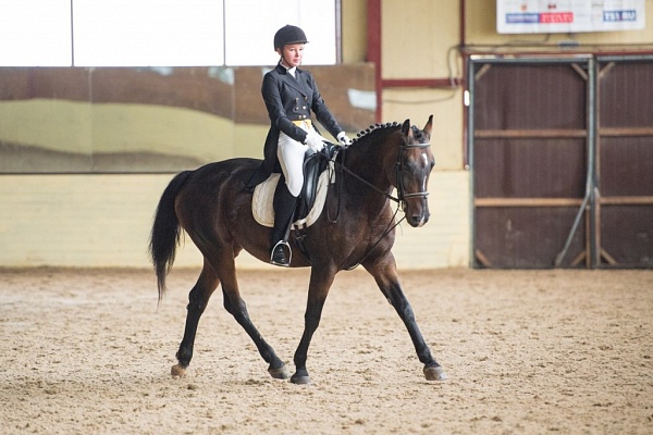 Обучение верховой езде в Краснодаре. Сервис Ultra Подарки. Купить обучение верховой езде в Краснодаре. Вы сможете попробовать курс по верховой езде и конные прогулки. Сервис UltraPodarki.ru 8 800 505 95 30. Обучение верховой езде, верховая езда в Краснодаре, верховая езда Краснодар, конный спорт, уроки верховой езды, школа верховой езды, конные прогулки, верховая езда, школа верховой езды в Краснодаре, конные прогулки в Краснодаре, обучение верховой езде в Краснодаре, конный спорт в Краснодаре, уроки верховой езды в Краснодаре