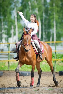 Обучение верховой езде в Краснодаре. Сервис Ultra Подарки. Купить обучение верховой езде в Краснодаре. Вы сможете попробовать курс по верховой езде и конные прогулки. Сервис UltraPodarki.ru 8 800 505 95 30. Обучение верховой езде, верховая езда в Краснодаре, верховая езда Краснодар, конный спорт, уроки верховой езды, школа верховой езды, конные прогулки, верховая езда, школа верховой езды в Краснодаре, конные прогулки в Краснодаре, обучение верховой езде в Краснодаре, конный спорт в Краснодаре, уроки верховой езды в Краснодаре