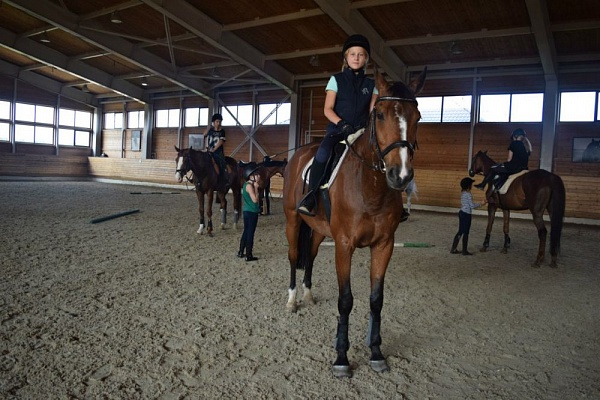 Обучение верховой езде в Краснодаре. Сервис Ultra Подарки. Купить обучение верховой езде в Краснодаре. Вы сможете попробовать курс по верховой езде и конные прогулки. Сервис UltraPodarki.ru 8 800 505 95 30. Обучение верховой езде, верховая езда в Краснодаре, верховая езда Краснодар, конный спорт, уроки верховой езды, школа верховой езды, конные прогулки, верховая езда, школа верховой езды в Краснодаре, конные прогулки в Краснодаре, обучение верховой езде в Краснодаре, конный спорт в Краснодаре, уроки верховой езды в Краснодаре