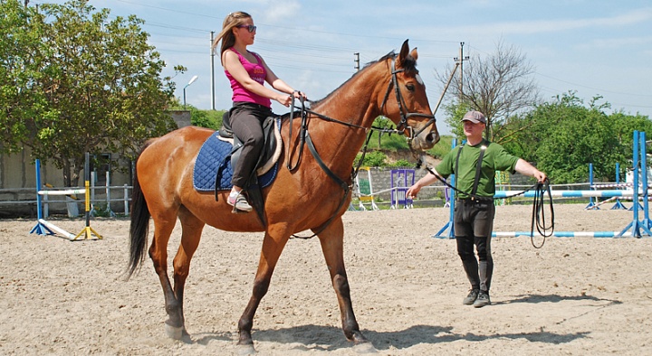 Обучение верховой езде в Краснодаре. Сервис Ultra Подарки. Купить обучение верховой езде в Краснодаре. Вы сможете попробовать курс по верховой езде и конные прогулки. Сервис UltraPodarki.ru 8 800 505 95 30. Обучение верховой езде, верховая езда в Краснодаре, верховая езда Краснодар, конный спорт, уроки верховой езды, школа верховой езды, конные прогулки, верховая езда, школа верховой езды в Краснодаре, конные прогулки в Краснодаре, обучение верховой езде в Краснодаре, конный спорт в Краснодаре, уроки верховой езды в Краснодаре