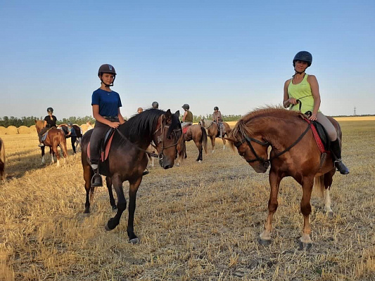 Конная прогулка для двоих в Краснодаре. Подарочные сертификаты Ultra Подарки. Купить оригинальный подарок или подарочный сертификат на Конную прогулка для двоих в Краснодаре. Сервис UltraPodarki.ru 8-800-505-9530. Катание на лошадях, Прогулка на лошади, Прогулка на лошадях для двоих,кони, конный клуб, конный клуб Horse Travel, конная прогулка, конная прогулка в Краснодаре