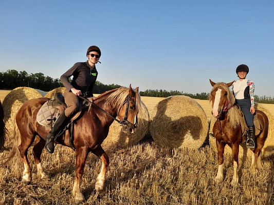 Конная прогулка для двоих в Краснодаре. Подарочные сертификаты Ultra Подарки. Купить оригинальный подарок или подарочный сертификат на Конную прогулка для двоих в Краснодаре. Сервис UltraPodarki.ru 8-800-505-9530. Катание на лошадях, Прогулка на лошади, Прогулка на лошадях для двоих,кони, конный клуб, конный клуб Horse Travel, конная прогулка, конная прогулка в Краснодаре