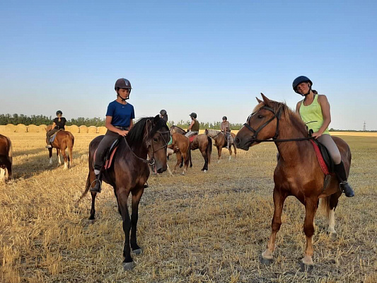 Конная прогулка для двоих в Краснодаре. Подарочные сертификаты Ultra Подарки. Купить оригинальный подарок или подарочный сертификат на Конную прогулка для двоих в Краснодаре. Сервис UltraPodarki.ru 8-800-505-9530. Катание на лошадях, Прогулка на лошади, Прогулка на лошадях для двоих,кони, конный клуб, конный клуб Horse Travel, конная прогулка, конная прогулка в Краснодаре