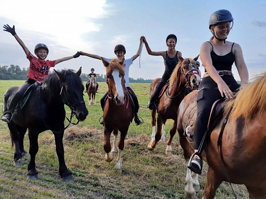 Конная прогулка для двоих в Краснодаре. Подарочные сертификаты Ultra Подарки. Купить оригинальный подарок или подарочный сертификат на Конную прогулка для двоих в Краснодаре. Сервис UltraPodarki.ru 8-800-505-9530. Катание на лошадях, Прогулка на лошади, Прогулка на лошадях для двоих,кони, конный клуб, конный клуб Horse Travel, конная прогулка, конная прогулка в Краснодаре