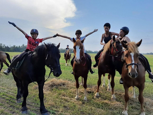 Конная прогулка для двоих в Краснодаре. Подарочные сертификаты Ultra Подарки. Купить оригинальный подарок или подарочный сертификат на Конную прогулка для двоих в Краснодаре. Сервис UltraPodarki.ru 8-800-505-9530. Катание на лошадях, Прогулка на лошади, Прогулка на лошадях для двоих,кони, конный клуб, конный клуб Horse Travel, конная прогулка, конная прогулка в Краснодаре