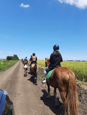 Конная прогулка для двоих в Краснодаре. Подарочные сертификаты Ultra Подарки. Купить оригинальный подарок или подарочный сертификат на Конную прогулка для двоих в Краснодаре. Сервис UltraPodarki.ru 8-800-505-9530. Катание на лошадях, Прогулка на лошади, Прогулка на лошадях для двоих,кони, конный клуб, конный клуб Horse Travel, конная прогулка, конная прогулка в Краснодаре