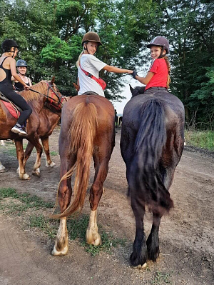 Конная прогулка для двоих в Краснодаре. Подарочные сертификаты Ultra Подарки. Купить оригинальный подарок или подарочный сертификат на Конную прогулка для двоих в Краснодаре. Сервис UltraPodarki.ru 8-800-505-9530. Катание на лошадях, Прогулка на лошади, Прогулка на лошадях для двоих,кони, конный клуб, конный клуб Horse Travel, конная прогулка, конная прогулка в Краснодаре