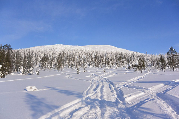 Катание на снегоходах в Краснодаре в подарок. Сервис Ultra Подарки
. Подарочный сертификат на катание на снегоходах в Краснодаре с друзьями. Закажите прокат снегоходов в подарок для мужчины по привлекательным ценам. Живописные маршруты для езды на снегоходах это отличная возможность активного отдыха. Сервис UltraPodarki.ru 8 800 505 95 30. катание на снегоходах, подарочный сертификат на катание на снегоходе, прокат снегоходов, прокат снегоходов Краснодар, катание на снегоходах Краснодар, езда на снегоходе