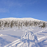 Катание на снегоходах в Краснодаре в подарок. Сервис Ultra Подарки
. Подарочный сертификат на катание на снегоходах в Краснодаре с друзьями. Закажите прокат снегоходов в подарок для мужчины по привлекательным ценам. Живописные маршруты для езды на снегоходах это отличная возможность активного отдыха. Сервис UltraPodarki.ru 8 800 505 95 30. катание на снегоходах, подарочный сертификат на катание на снегоходе, прокат снегоходов, прокат снегоходов Краснодар, катание на снегоходах Краснодар, езда на снегоходе